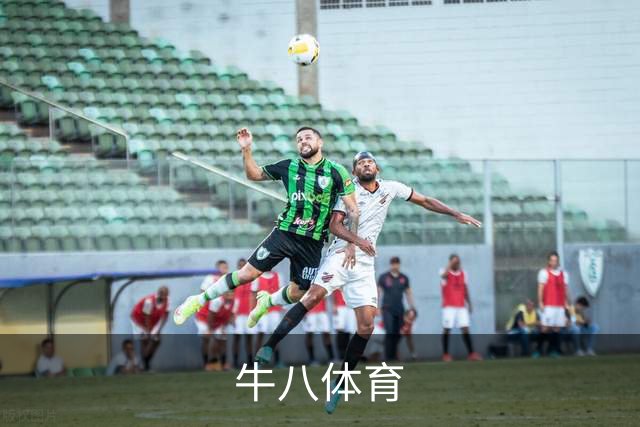 牛八体育公司简介